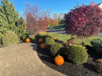 Gorgeous Newer 2 Story House in Friendly Neighborhood w Salt Water Hot Tub Ξενοδοχεία στην πόλη Clay