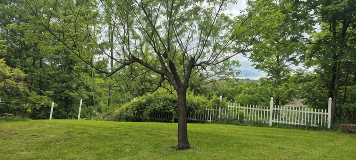 Charming 4-bedroom home with AC and WiFi close to downtown historic Honesdale Hotels in Wayne County