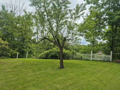 Charming 4-bedroom home with AC and WiFi close to downtown historic Honesdale - 3-Star