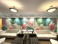 Collins Hotel Hotels near Mid-Beach