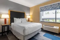 Cambria Hotel Ft Lauderdale, Airport South & Cruise Port - bar