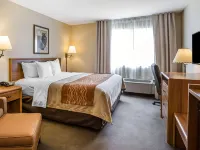 Quality Inn Lone Pine Near Mount Whitney Hotels in Lone Pine