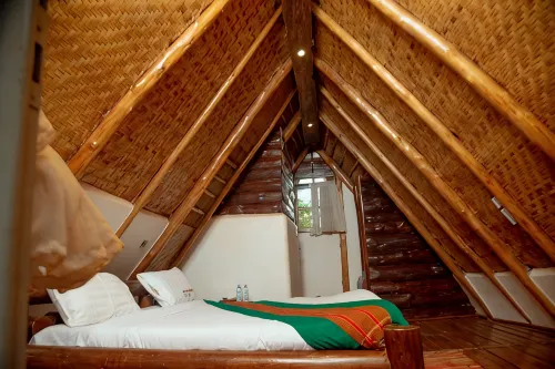 Nyungu Yamawe Forest Park - Homestays