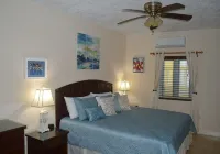 New Listing!Verdant Paradise. Relaxing Vacation In The Lush Tropical Rain Forest - Wifi