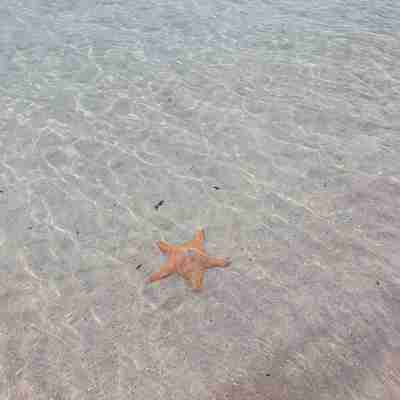 Studio 5 mins walk to Anse Mitan beach Others