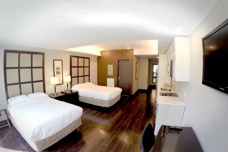 M Montreal Hostel