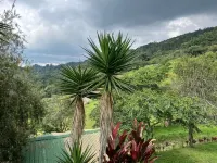 Bhoga Forest Orosi - Hot Springs