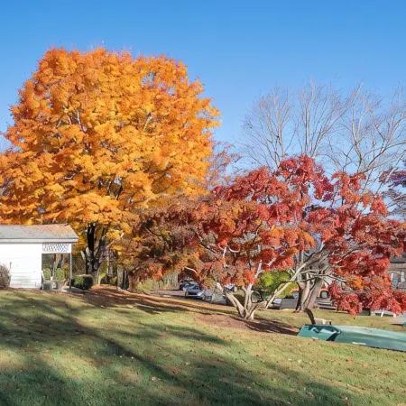Cozy 1-bedroom condo in charming Flat Rock.