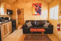 Amarillo by Morning - Homestays