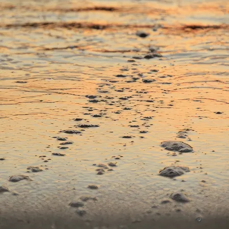 Shimmering Tides~Golf Cart~Secluded