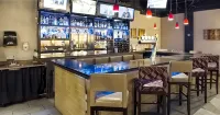 Radisson Hotel Sudbury - bar
