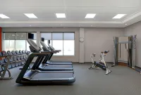 Hampton Inn & Suites by Hilton Belleville - 피트니스 시설
