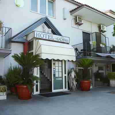 Hotel Calypso Hotel Exterior