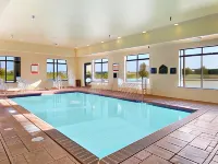 Wingate by Wyndham New Braunfels Hotels in Comal County