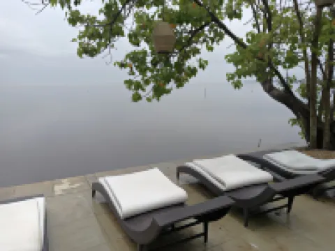Purity at Lake Vembanad