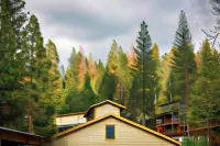 Rush Creek Lodge at Yosemite Hotels in Buck Meadows