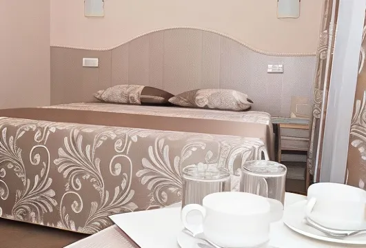 弗拉基米爾酒店