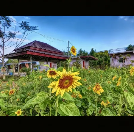 เครือเคียงดาวรีสอร์ท Отели в г. Sa Kaeo