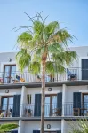 Hotel Boutique Bon Repos - Adults Only Hotels in Santa Ponsa