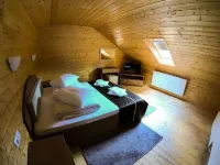 Hanul Patrisiei Hotels in Avrig