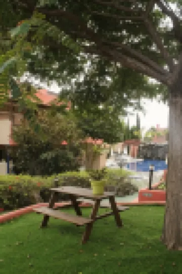 Aparthotel El Cerrito Hotels in 