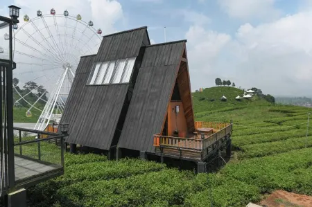 Nimo Tea Resort