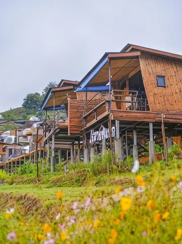 รูปภาพของไร่สายหมอกหน้าม่อนแจ่ม