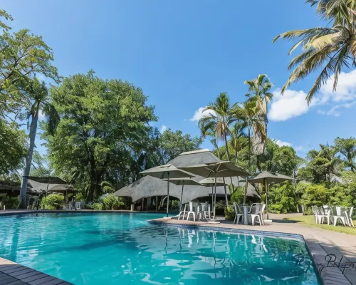 Sefapane Lodge and Safaris Hotels in Phalaborwa