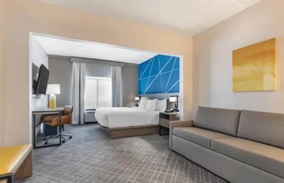 舒適套房酒店-弗賴拉辛東-麥金尼