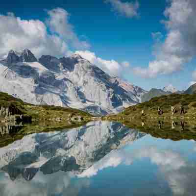 莫妮卡飯店 Others