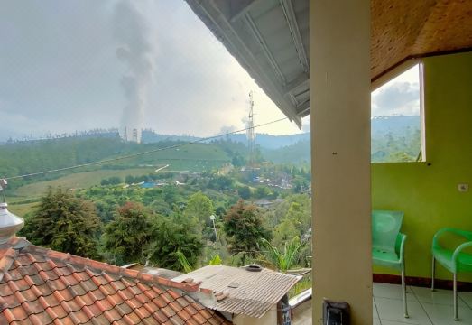 자연 속에서 즐거운 시간을 보내는 아이들