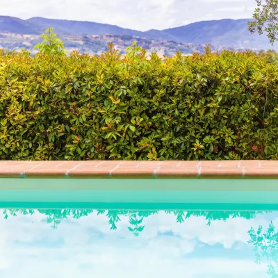 Un Petit Paradis Hotels in Marsciano