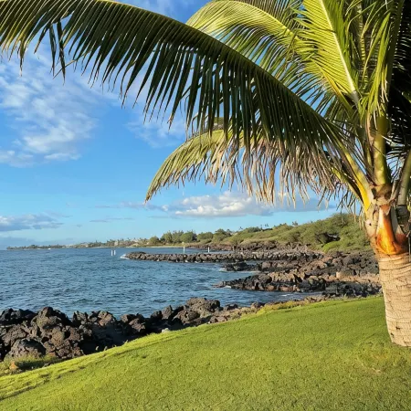 50 steps away from Maui's best beach, furnished with luxury details