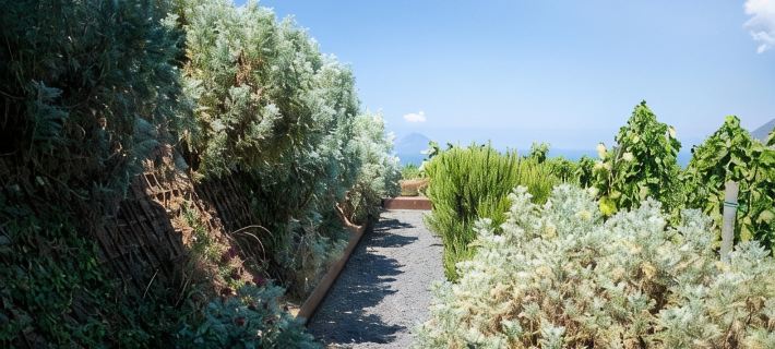 Tenuta di Castellaro Winery & Resort Hotels in Lipari