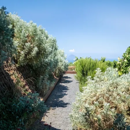 Tenuta di Castellaro Winery & Resort