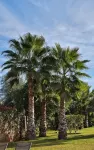 Grande Villa Très Proche Centre Ville, Avec Piscine, Terrain de Boules sur Golf - Villas