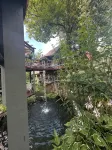 Tree house  lots birds  great location . ..... lots to do all summer long ......