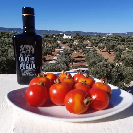 Masseria Sottomasi