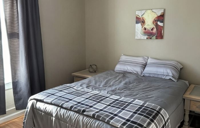 Cozy 1-bedroom apartment with AC and WiFi in enjoyable Geneva