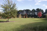 Unwind at "Woodbury Lodge" - Country Houses