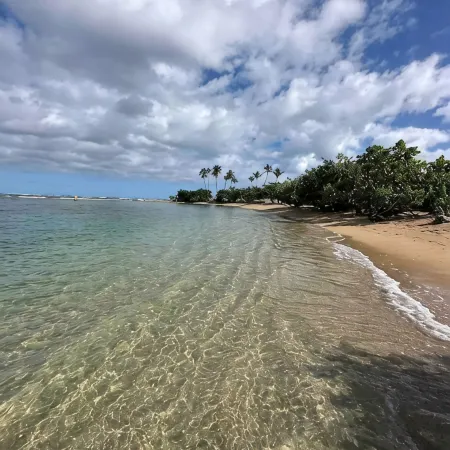 Lovely Dorado Beach Villa With King Size Bed