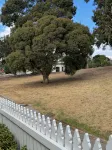Olinda Cottage - Close to Bendigo CBD with City Views