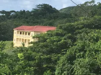 New Listing! Nature's Ridge. Relaxing Vacation In The Lush Tropical Rain Forest - Wifi