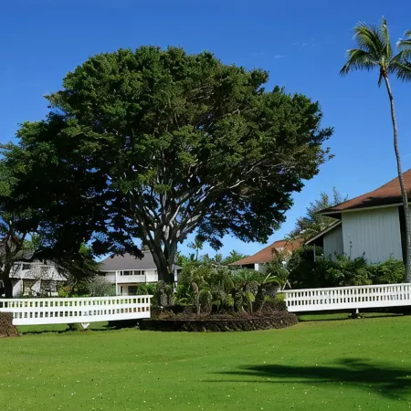 Remodeled Condo with / AC. Short Walk to Beach, Starbucks, and Shops.