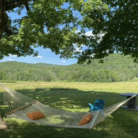 5 miles to Okemo/Ludlow, 25 Acre Playground, Great Ski or Summer Rental