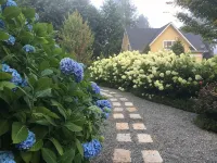Coastal Retreat Across From Puget Sound Sleeps 2-4. High Speed Internet.