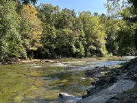 Parsons Riverside Retreat: Steps away from a rolling mountain stream and trails