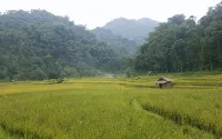 Le Pandai - 2星級