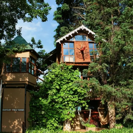 Sycamore Avenue Treehouses & Cottages Accommodation