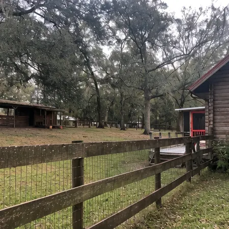 Log Cabin near Ocala and World Equestrian Center ideal for family retreats.